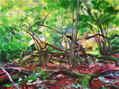 Forêt 12 de Olivier Morel