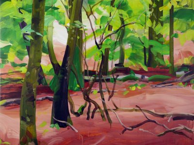 Forêt 20 de Olivier Morel