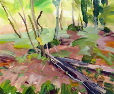 Forêt 24 de Olivier Morel