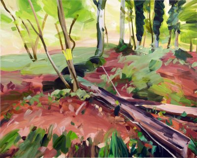 Forêt 25 de Olivier Morel