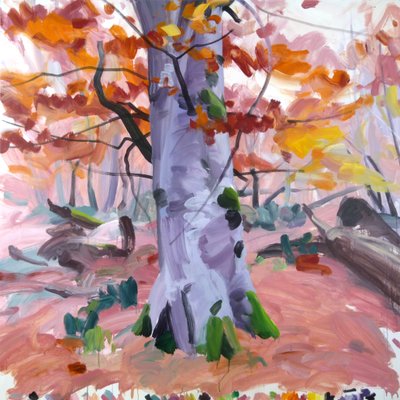 Forêt 40 de Olivier Morel