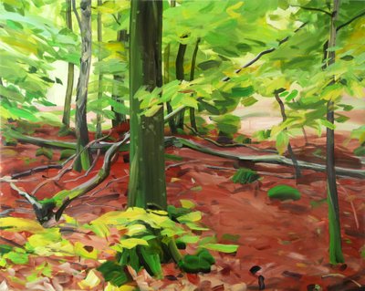 Forêt 5, 2015 de Olivier Morel