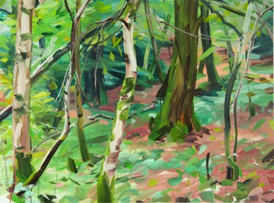 Forêt 6 de Olivier Morel