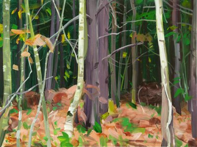 Forêt 7 de Olivier Morel