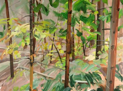 Forêt 9 de Olivier Morel
