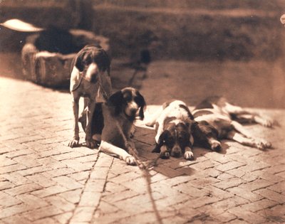 Perros de caza, c.1853 (grabado en sal) de Olympe Aguado