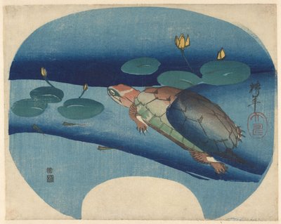 Estampado de abanico con tortuga nadando entre nenúfares de Onishi Chinnen