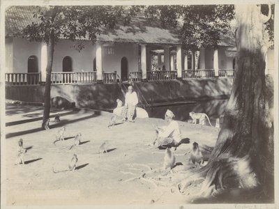 Hombres indios con monos en un patio junto al agua, posiblemente en Surabaya de Onnes Kurkdjian