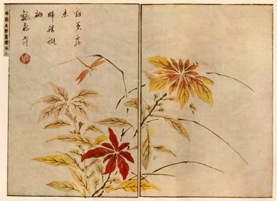Libélula con plantas, 1746, 1924 de Ooka Shunboku