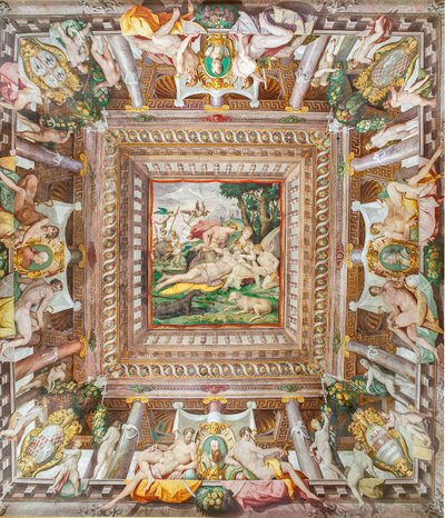 Vista del techo de la Sala de Adonis y de las piedras conmemorativas de los miembros de la familia Rossi, Gonzaga, Riario y Medici, Rocca dei Rossi, San Secondo, Parma, Italia de Orazio (attr.to) Samacchini