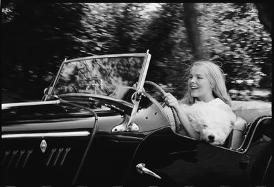 Janet Landgard conduciendo con perro de Orlando Suero