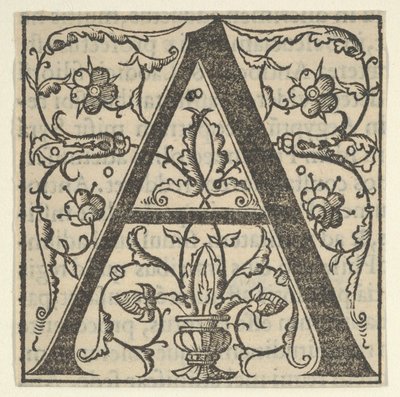 Letra inicial A con guirnaldas, mediados del siglo XVI de Oronce Fine