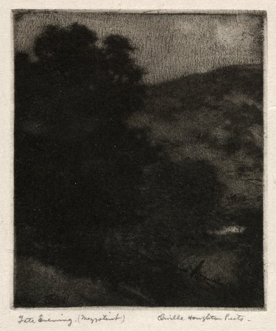 Tarde noche de Orville Houghton Peets