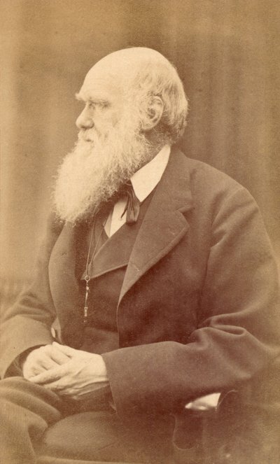 Retrato de Charles Darwin a los 72 años, c.1871 de Oscar Gustav Rejlander