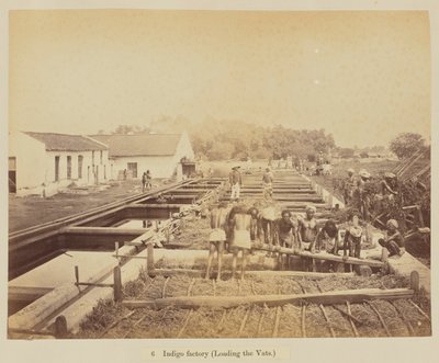 Fábrica de añil (cargando las cubas) de Oscar Jean Baptiste Mallitte