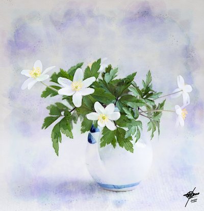 Delicadas flores blancas de primavera de Osvaldo Russo