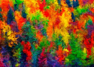 Una alegre explosión de color de Osvaldo Russo