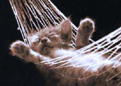 Gatito durmiendo en una hamaca de Osvaldo Russo