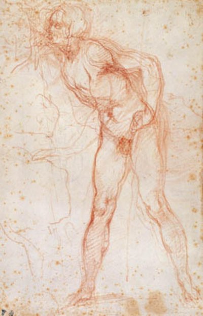 Estudio de un desnudo masculino girado a la izquierda de Ottavio Vannini