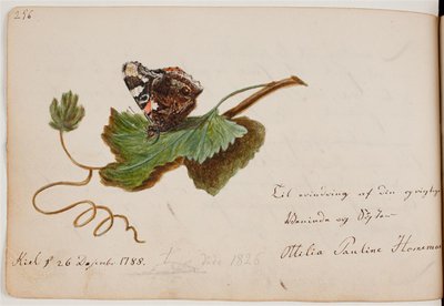 Mariposa en una hoja de Ottilie Pauline Horneman