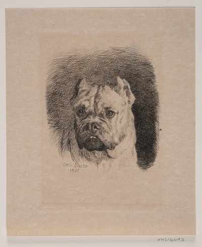 Cabeza de un perro de Otto Bache