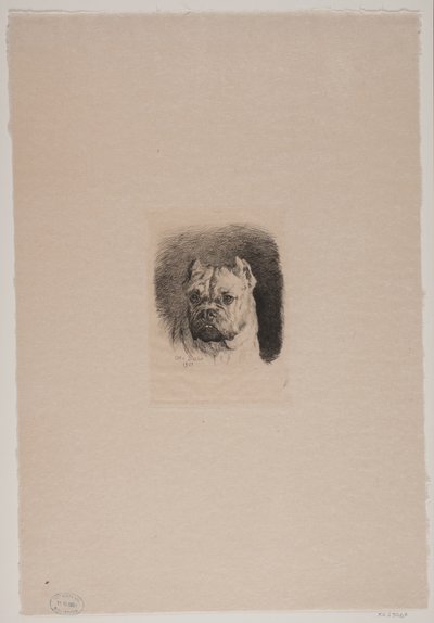 Cabeza de perro de Otto Bache