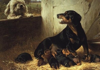 El visitante no deseado de Otto Bache