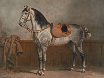 Lipizzano de Otto Eerelman