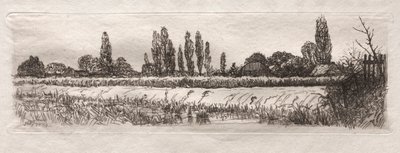 Campo de Maíz de Otto H. Bacher