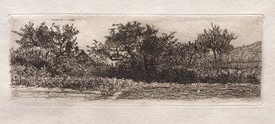 Techos y árboles de Otto H. Bacher