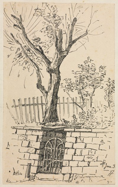 Árbol en la cima de un muro de piedra, Cleveland de Otto H. Bacher