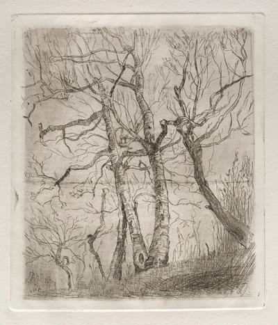 Árboles, 1878 de Otto H. Bacher