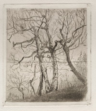 Bosques junto al lago, 1878. de Otto H. Bacher