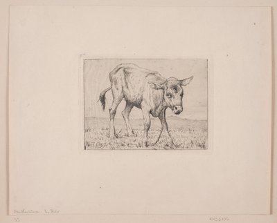Un ternero de Otto Haslund