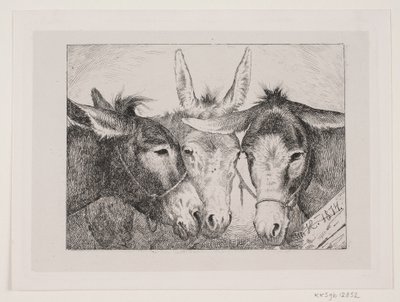Tres cabezas de burro de Otto Haslund