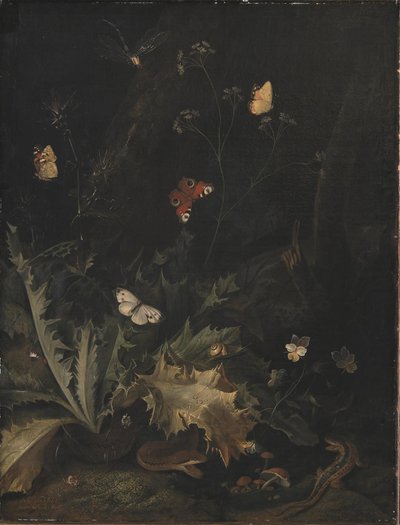 Un Suelo del Bosque con un Cardo, una Serpiente, un Lagarto y Mariposas de Otto Marseus  van Schrieck