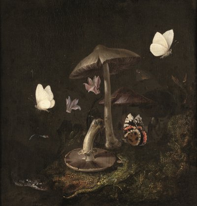 Un "sotto bosco" con setas, mariposas, una libélula, una serpiente y un lagarto (óleo sobre lienzo) de Otto Marseus van Schrieck