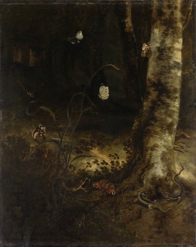 Suelo del bosque con una serpiente, lagartos, mariposas y otros insectos de Otto Marseus  van Schrieck