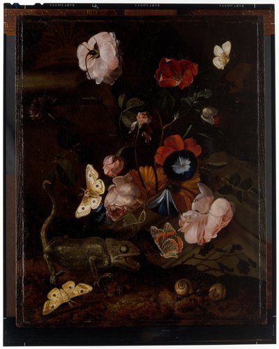 Bodegón forestal de Otto Marseus  van Schrieck