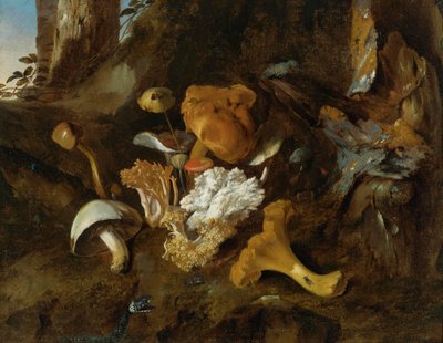 Bodegón del suelo del bosque con setas, mariposas y una serpiente de Otto Marseus  van Schrieck