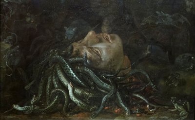 Cabeza de Medusa de Otto Marseus  van Schrieck