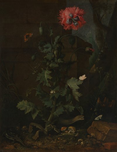 Naturaleza muerta con amapola, insectos y reptiles, ca. 1670 de Otto Marseus  van Schrieck