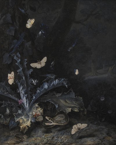Naturaleza muerta con cardo y serpiente de Otto Marseus  van Schrieck