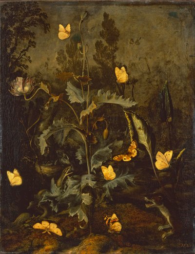 La serpiente en el nido de pájaros / Amapola de opio con nido de pájaros, serpiente, mariposas y una comadreja de Otto Marseus  van Schrieck
