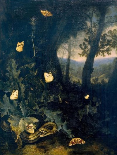 Suelo del bosque con cardo y serpiente de Otto Marseus  van Schrieck