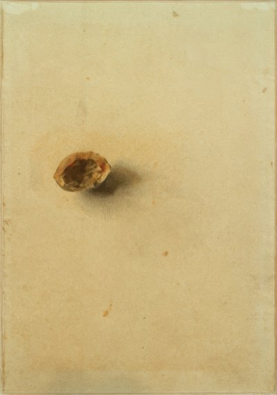 Cáscara de nuez de Otto Meyer Amden
