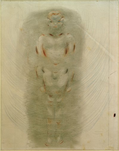 Desnudo de niño de pie. De la serie Rosa de Otto Meyer Amden