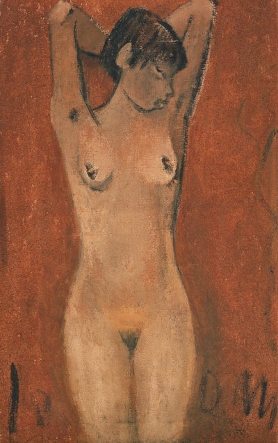 Desnudo femenino sobre fondo marrón (óleo) de Otto Mueller
