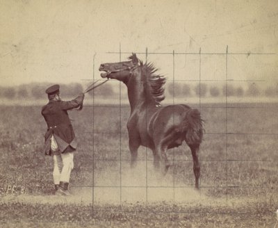 Caballo, 1884 de Ottomar Anschütz