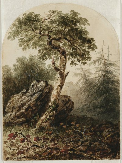 Paisaje con Abedul de Owen G. Hanks